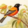 Bird Illustration Diamond Painting