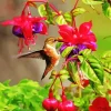 Bird On Flowers Diamond Painting