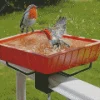 Birds Bath Diamond Painting