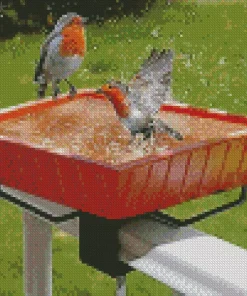 Birds Bath Diamond Painting