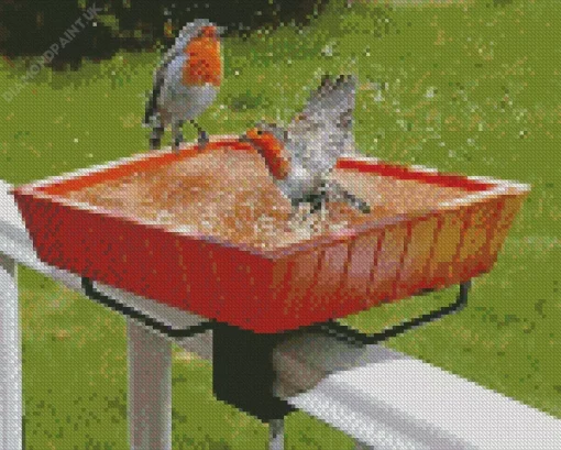 Birds Bath Diamond Painting