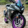 Black And Purple Motorcycle Diamond Painting