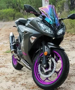 Black And Purple Motorcycle Diamond Painting