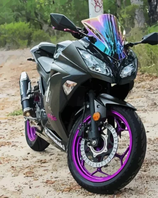 Black And Purple Motorcycle Diamond Painting