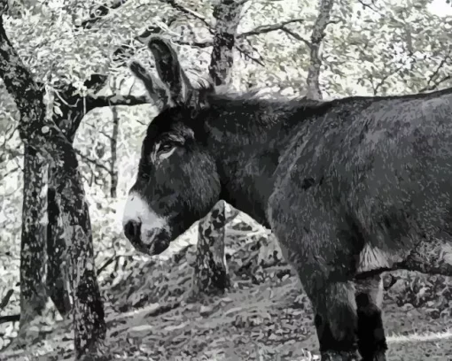 Black And White Donkey Diamond Painting