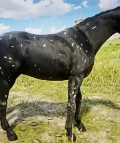 Black Appaloosa Horse Diamond Painting