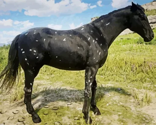 Black Appaloosa Horse Diamond Painting