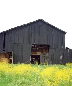 Black Barn Diamond Painting