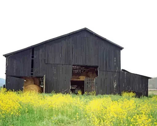 Black Barn Diamond Painting