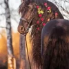 Black Horse With Roses Diamond Painting