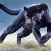 Black Jaguar Diamond Painting