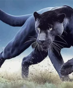 Black Jaguar Diamond Painting