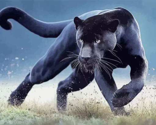 Black Jaguar Diamond Painting