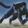 Black Jaguar Diamond Painting