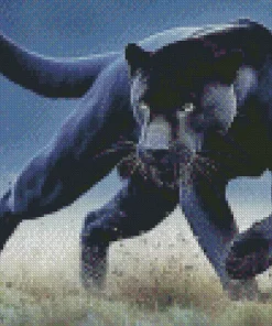 Black Jaguar Diamond Painting