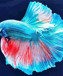 Blue Betta Diamond Painting