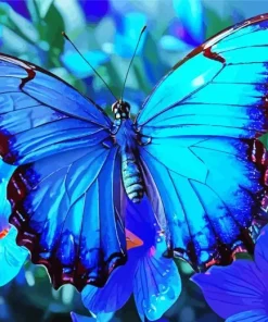 Blue Monarch Butterfly Diamond Painting