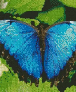 Blue Morpho Butterfly Diamond Painting