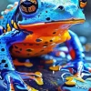 Blue Orange Frog Diamond Painting