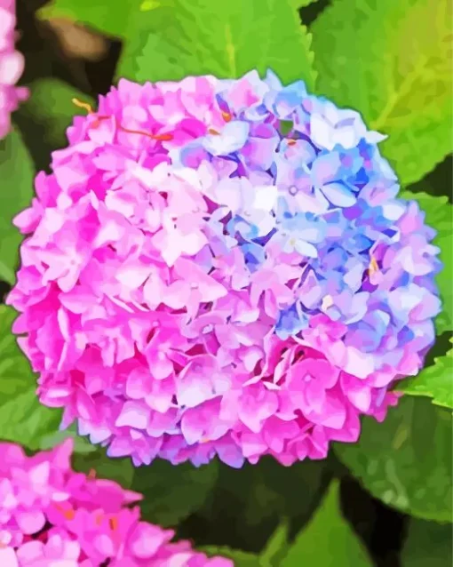 Blue Pink Purple Hydrangea Diamond Painting