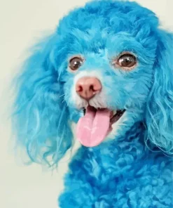 Blue Poodle Dog Diamond Painting