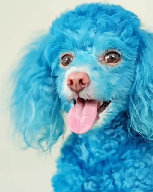 Blue Poodle Dog Diamond Painting