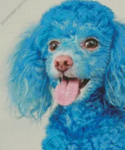 Blue Poodle Dog Diamond Painting