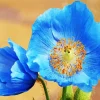 Blue Poppies Diamond Painting