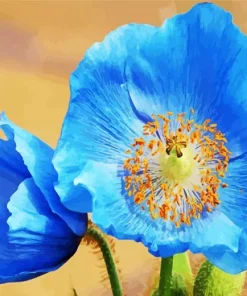 Blue Poppies Diamond Painting