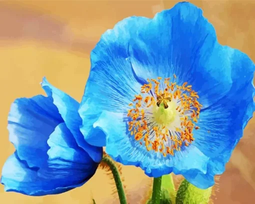 Blue Poppies Diamond Painting