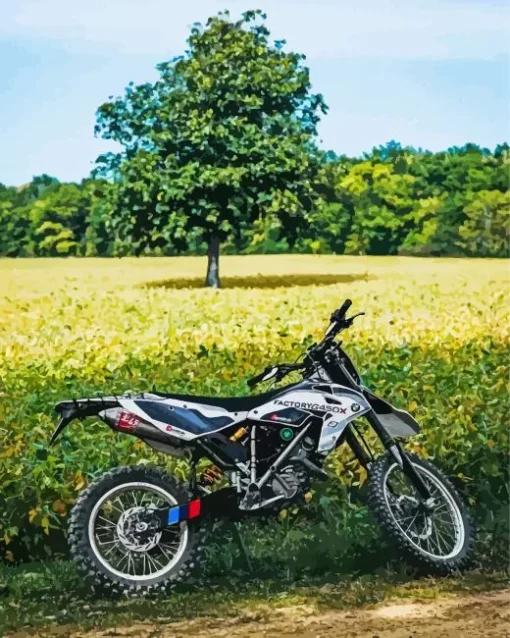 Bmw Motocross Diamond Painting