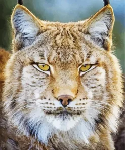 Bobcat Face Diamond Painting