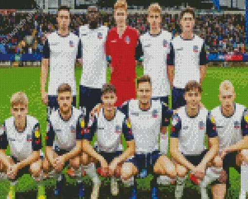 Bolton Wanderers Fc Team Diamond Painting