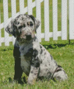 Catahoula Leopard Dog Diamond Painting