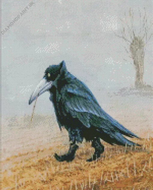 Crow Wearing Boots Diamond Painting