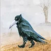 Crow Wearing Boots Diamond Painting