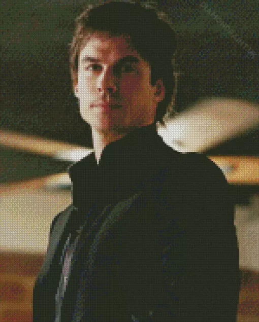 Damon Salvatore Diamond Painting