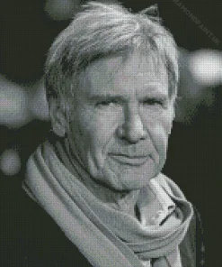 Harrison Ford Diamond Painting