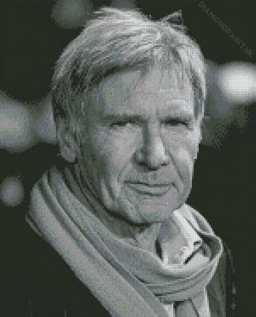 Harrison Ford Diamond Painting