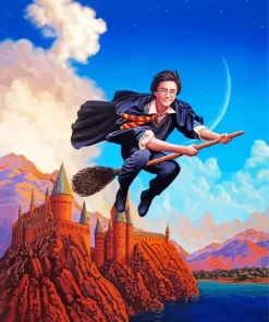 Harry On A Broom Diamond Painting