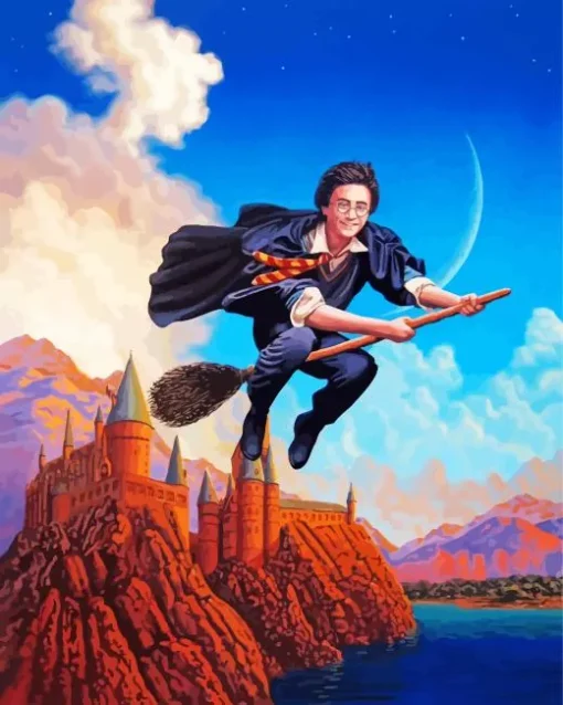 Harry On A Broom Diamond Painting