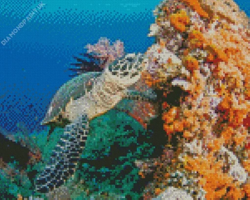 Hawksbill Sea Turtle Diamond Painting