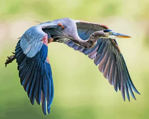 Heron Bird Flying Diamond Painting