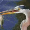 Heron Eating Fish Diamond Painting