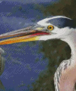 Heron Eating Fish Diamond Painting