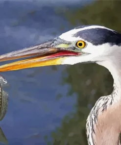 Heron Eating Fish Diamond Painting