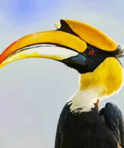 Hornbill Bird Diamond Painting