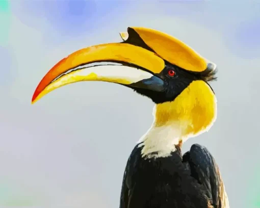 Hornbill Bird Diamond Painting