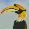 Hornbill Bird Diamond Painting