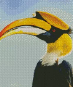 Hornbill Bird Diamond Painting